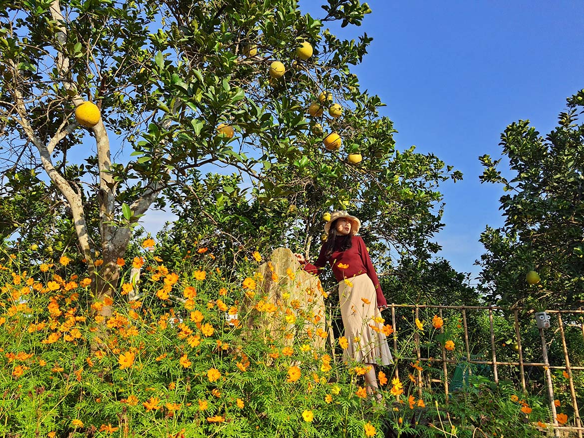 Thu An Sống Để Yêu